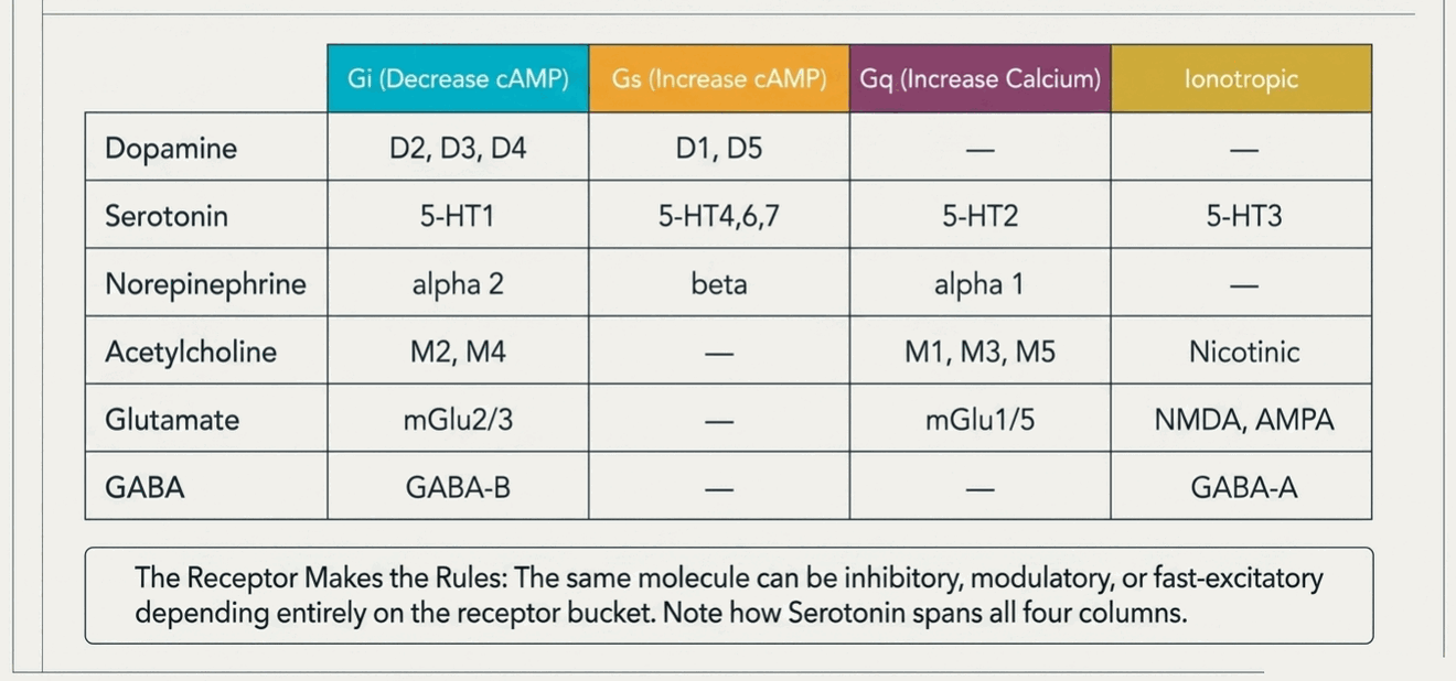 Receptor family grid mapping each neurotransmitter's receptor subtypes to Gi, Gs, Gq, or ionotropic signaling classes